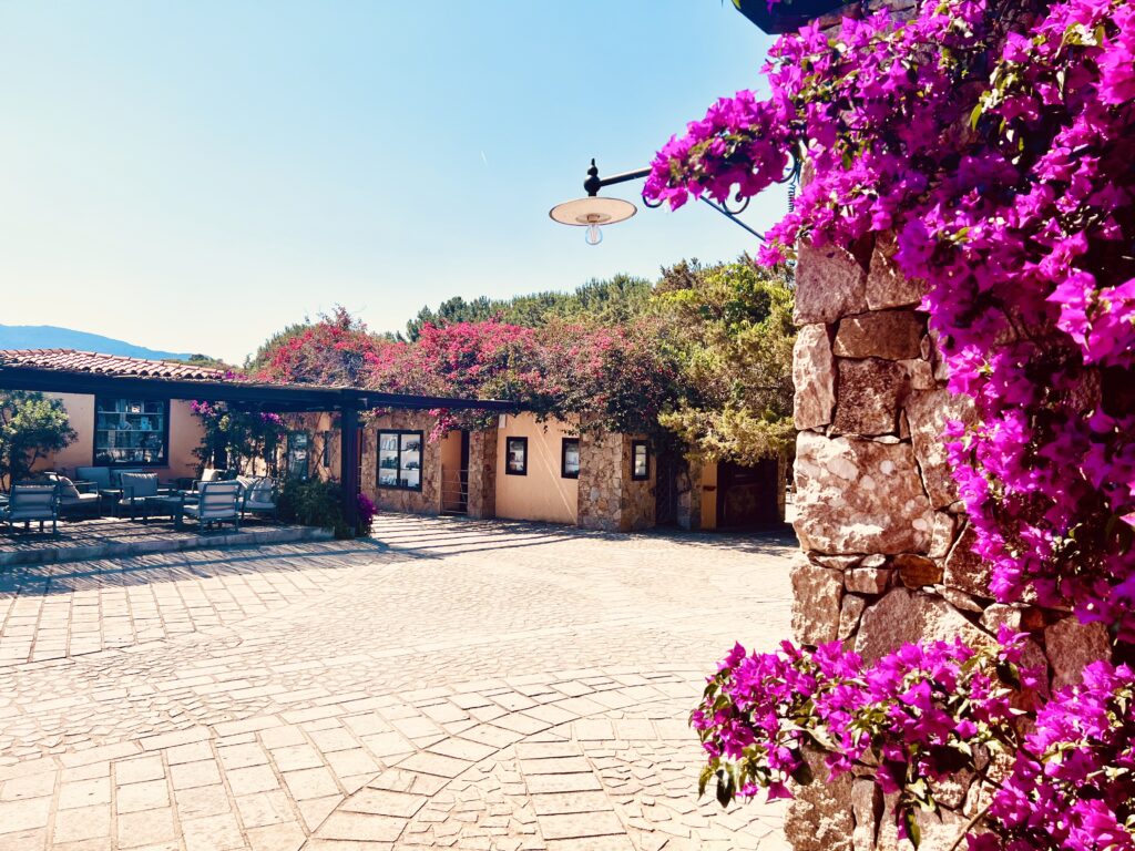 Resort Le Dune - Base (Sardegna) - Alessandro Rizzi